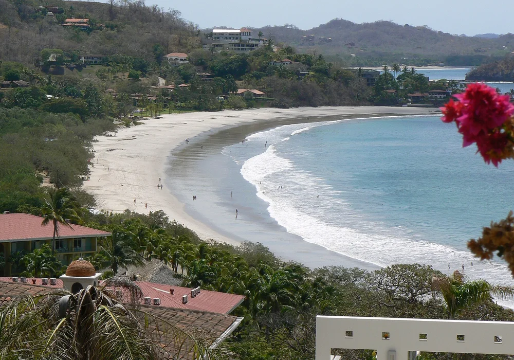 Jungle's Edge Retreat & Budget Surf Base — Nosara Hostel in Costa Rica