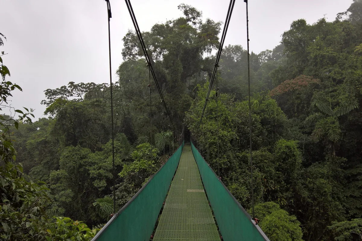What to Check Before Booking a Cheap Tour in Costa Rica (Hidden Fees & Total Cost)